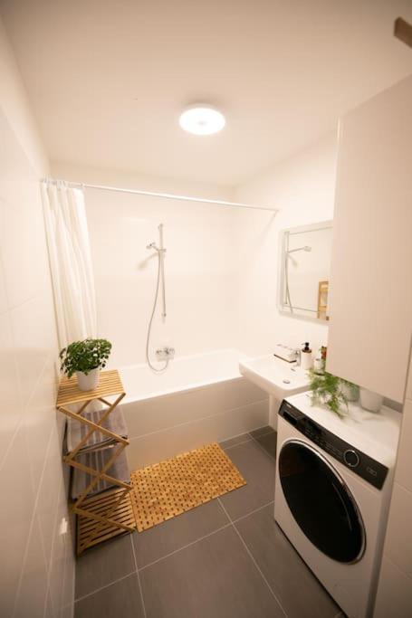Apartmán Schoenes Living Am Donauufer