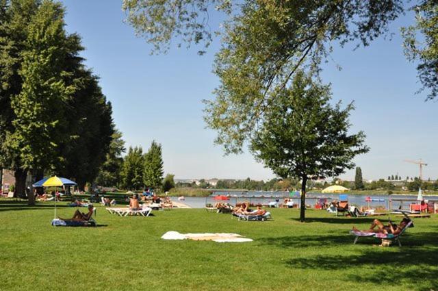 Schoenes Living Am Donauufer * Vídeň